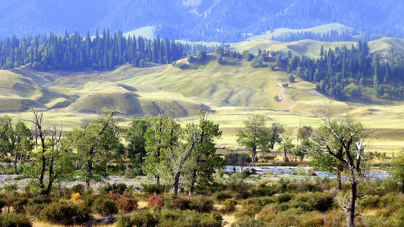 Nalati National Forest Park