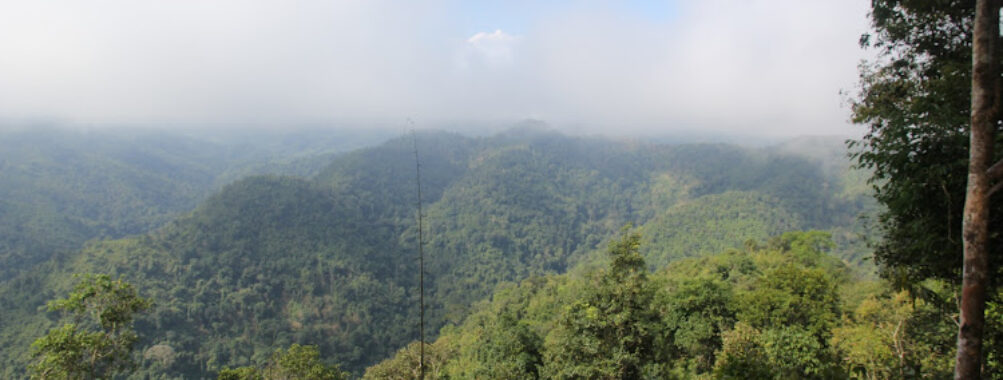 Nam Ha National Bio-Diversity Conservation Area. Travel Forum Reviews