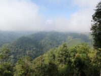 Nam Ha National Bio-Diversity Conservation Area. Travel Forum Reviews