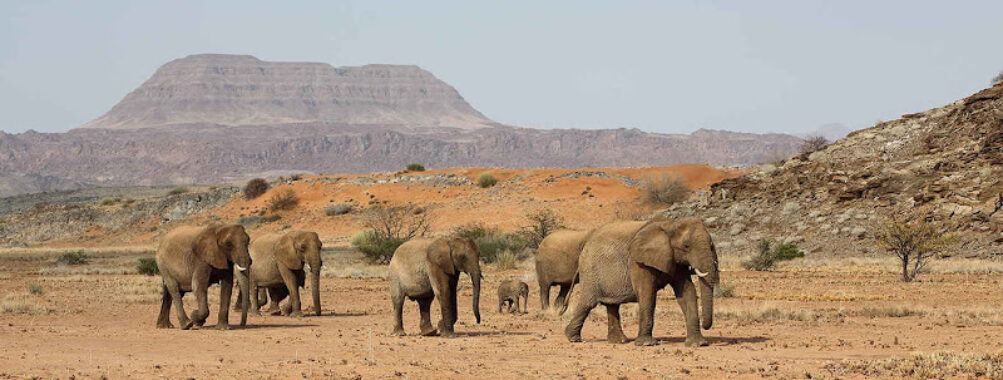 Namibia Holidays Tours & Safaris Travel Forum Reviews