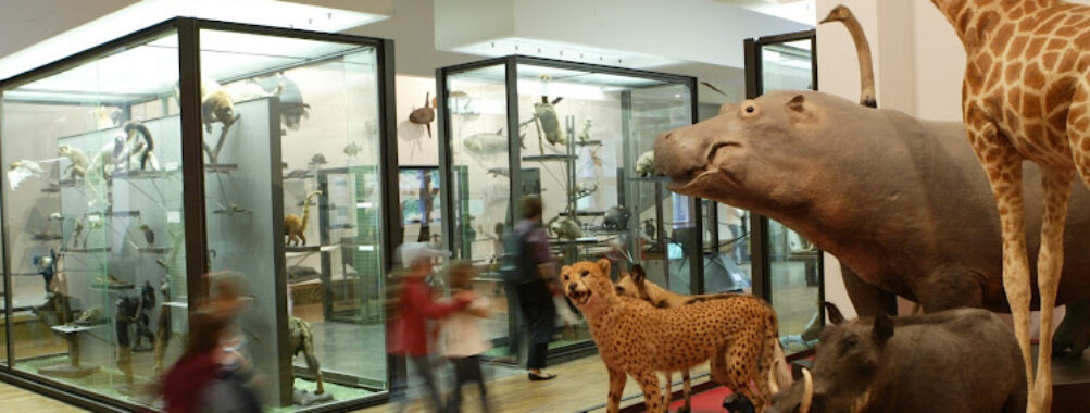 Nancy Museum-Aquarium Travel Forum Reviews