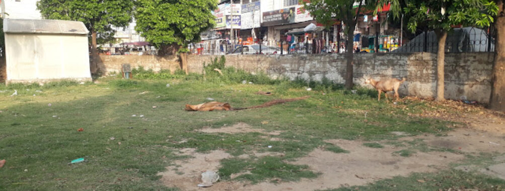 Nangi Park Mirpur AK Travel Forum Reviews