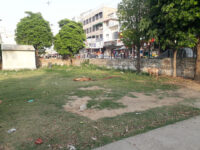 Nangi Park Mirpur AK Travel Forum Reviews