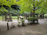 Nangokaminoyama Park Travel Forum Reviews