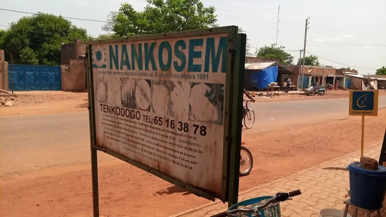 Nankosem Tenkodogo