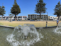 Napier Beach Travel Forum Reviews
