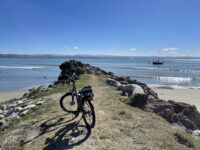 Napier Port Travel Forum Reviews