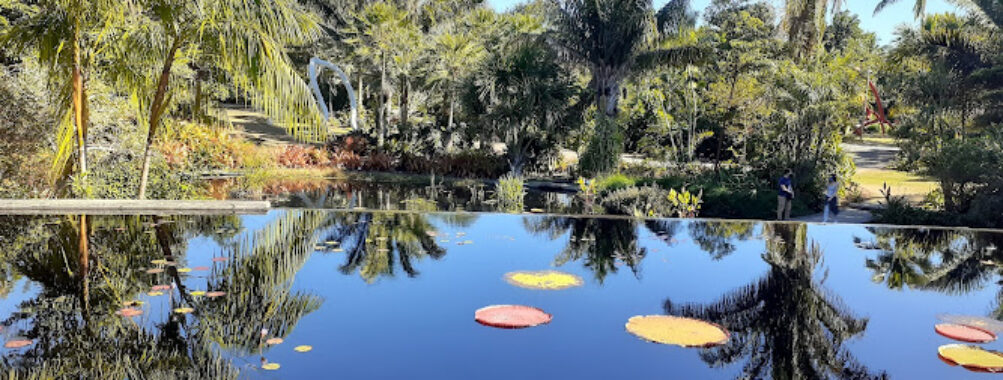 Naples Botanical Garden Travel Forum Reviews