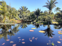 Naples Botanical Garden Travel Forum Reviews