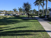 Naples Dog Park Travel Forum Reviews