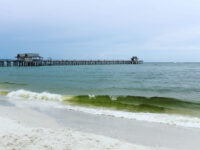 Naples Pier Travel Forum Reviews