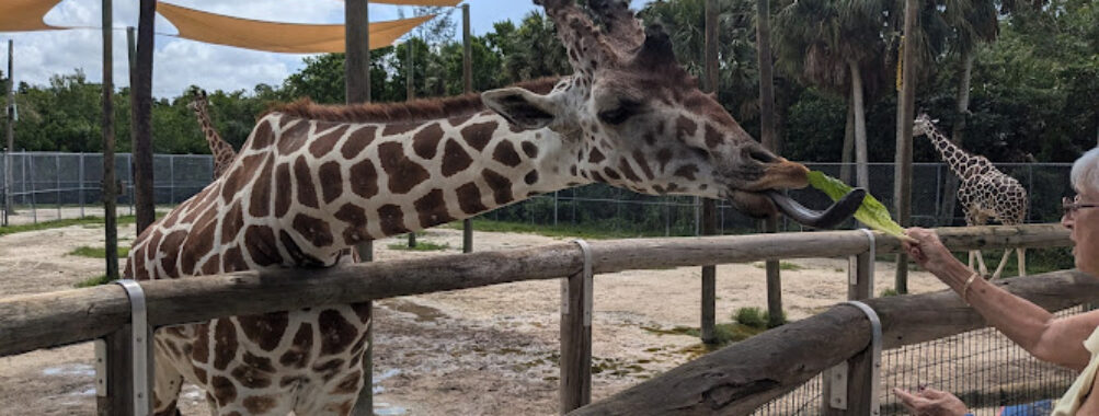 Naples Zoo at Caribbean Gardens Travel Forum Reviews