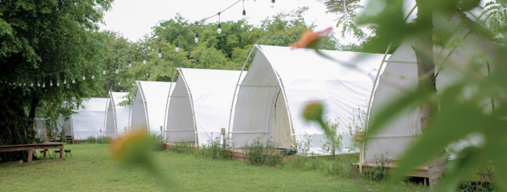 Napy Garden Travel Forum Reviews