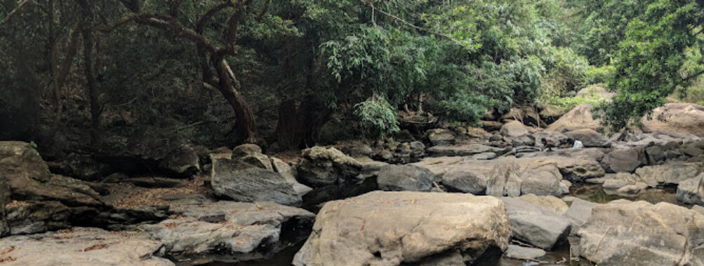 Narakakanam, Kerala 685602 Travel Forum Reviews