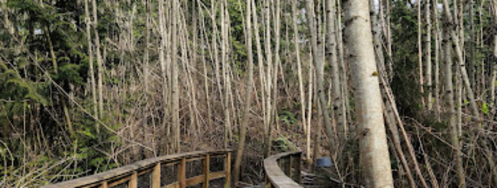 Narbeck Wetland Sanctuary Travel Forum Reviews