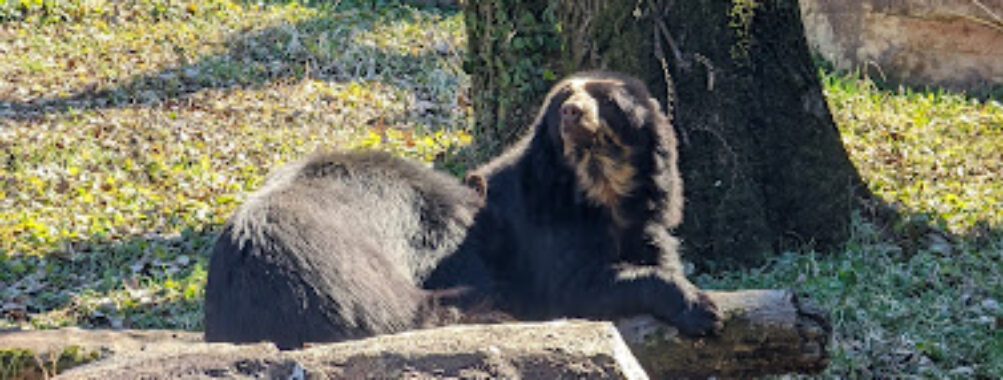 Nashville Zoo at Grassmere Travel Forum Reviews