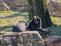 Nashville Zoo at Grassmere Travel Forum Reviews