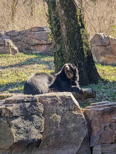 Nashville Zoo at Grassmere