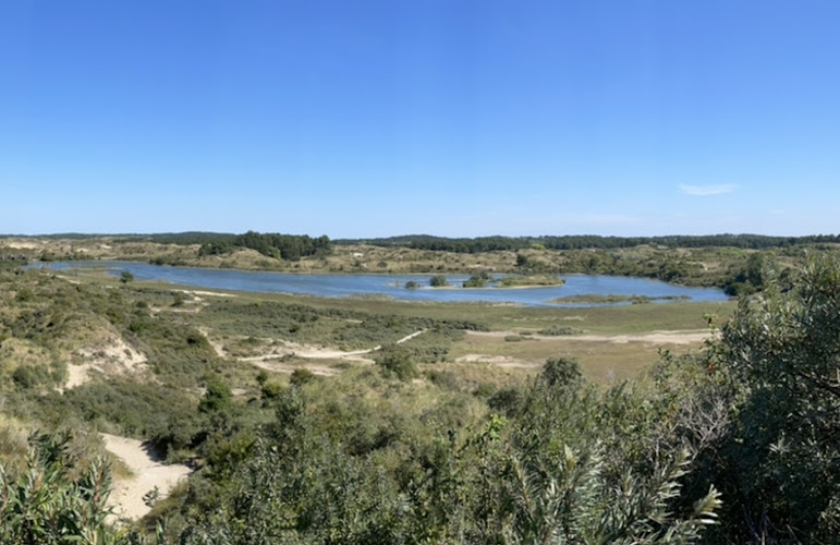 Nationaal Park Zuid-Kennemerland