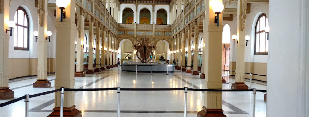 National Museum of Natural History Travel Forum Reviews