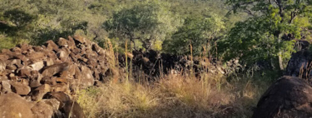 National Museums & Monuments of Zimbabwe Travel Forum Reviews