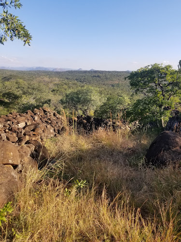 National Museums & Monuments of Zimbabwe