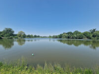 National Trust - Hatfield Forest Travel Forum Reviews