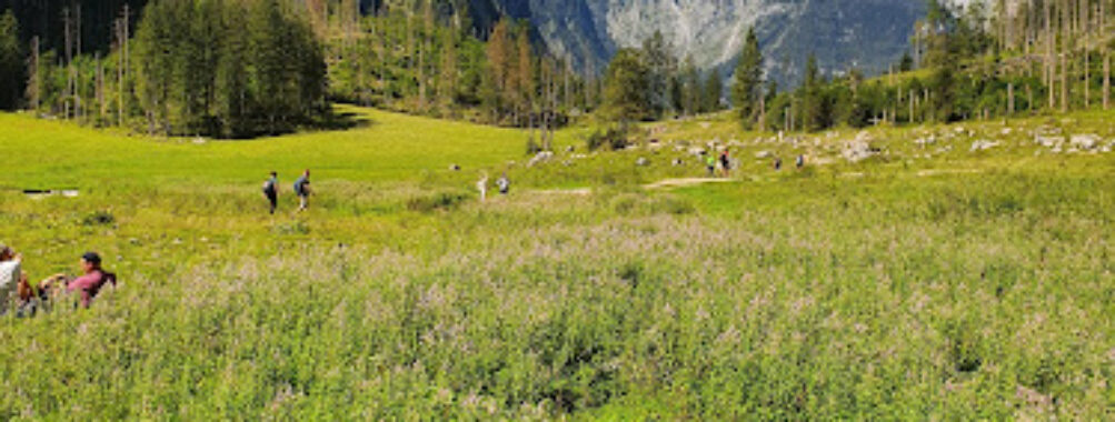 Nationalpark Berchtesgaden Travel Forum Reviews