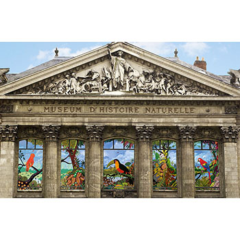 Natural History Museum