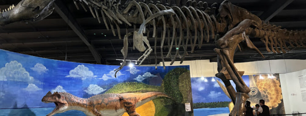 Natural History Museum of Ecatepec Travel Forum Reviews