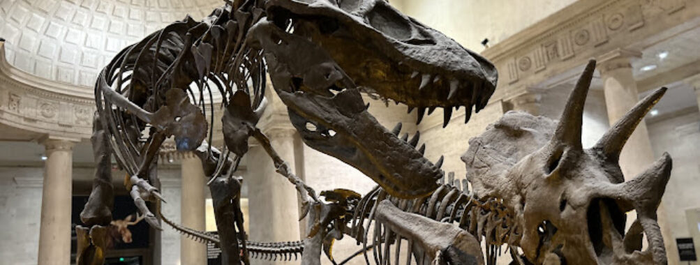 Natural History Museum of Los Angeles County Travel Forum Reviews