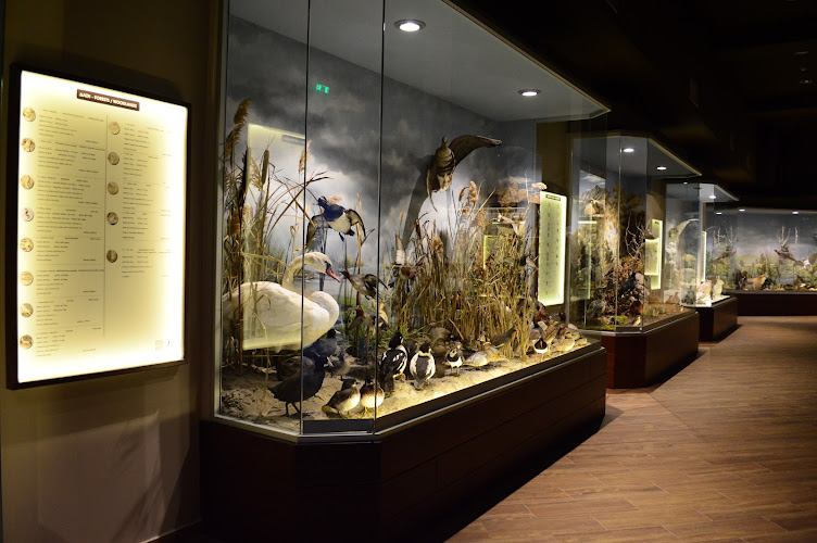 Natural History Museum of Meteora and Mushroom Museum