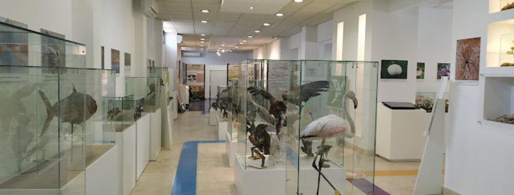 Natural History Museum of Montenegro Travel Forum Reviews