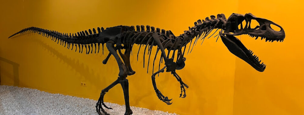 Natural Science Museum of Valencia Travel Forum Reviews