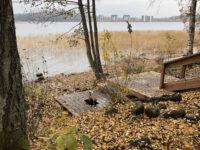 Natural Spring Travel Forum Reviews