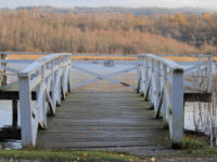Naturreservatet Rocksjön Travel Forum Reviews