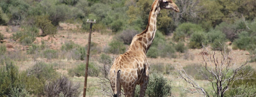 Naval Hill Nature Reserve Travel Forum Reviews