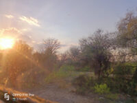 Nawaz Sharif Park Chichawatni Sahiwal Travel Forum Reviews