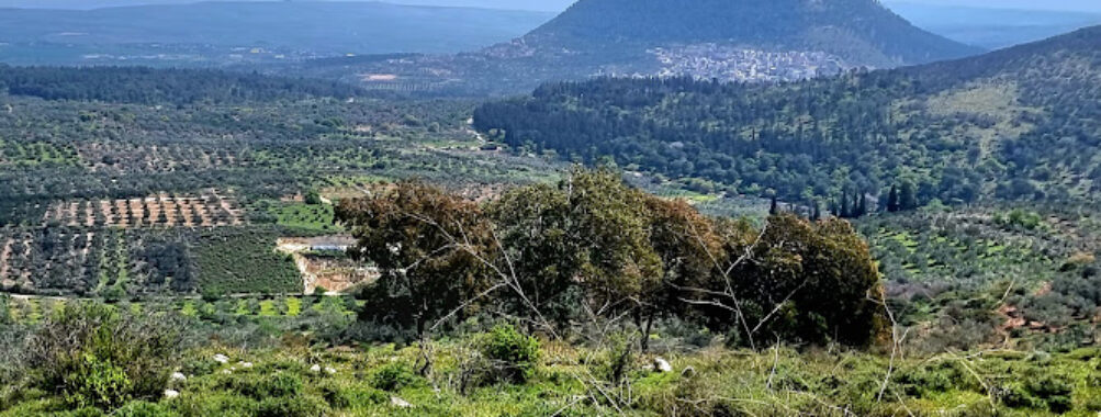 Nazareth Iris Nature Reserve Travel Forum Reviews