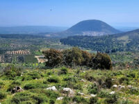 Nazareth Iris Nature Reserve Travel Forum Reviews