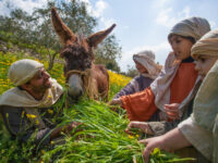 Nazareth Village Travel Forum Reviews