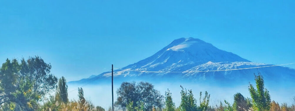 Necefali Travel Forum Reviews