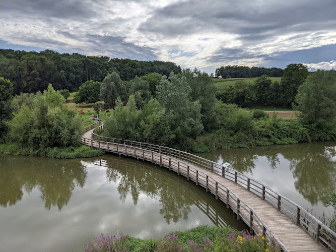 Neckarbiotop Zugwiesen
