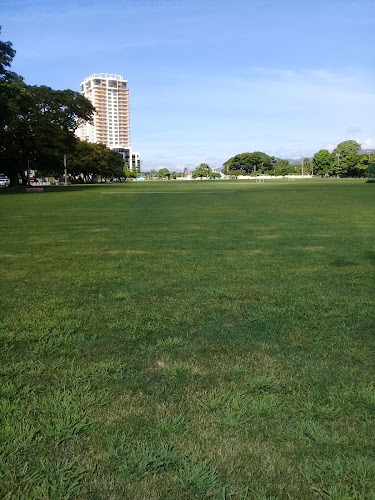 Nelson Mandela Park