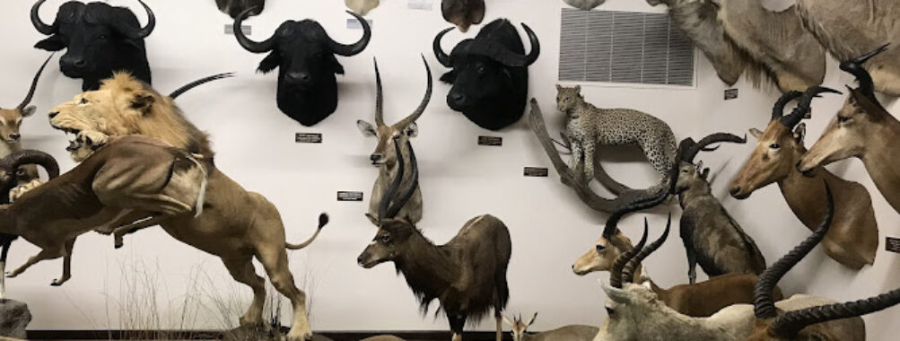 Nelson Museum of the West Travel Forum Reviews