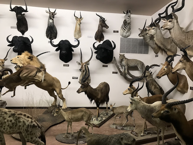 Nelson Museum of the West