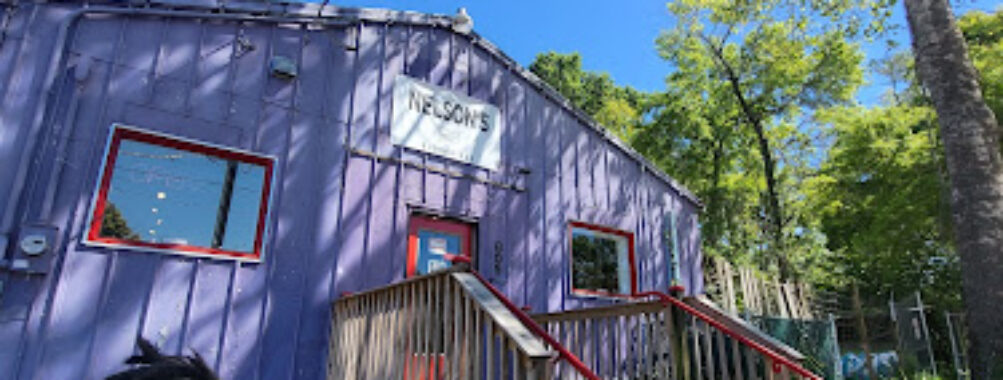 Nelsons BurgerBar Travel Forum Reviews