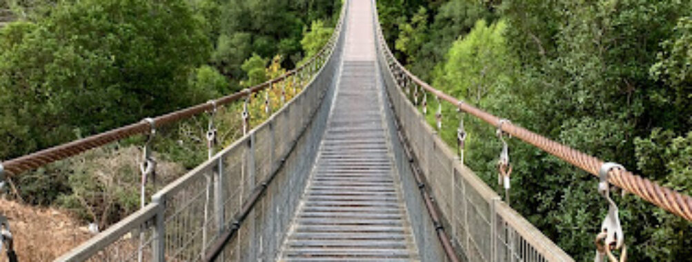 Nesher Park Travel Forum Reviews