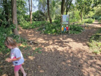 Neston Fairy Garden Travel Forum Reviews