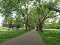 New Beckton Park Travel Forum Reviews
